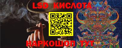 бошки Камышлов