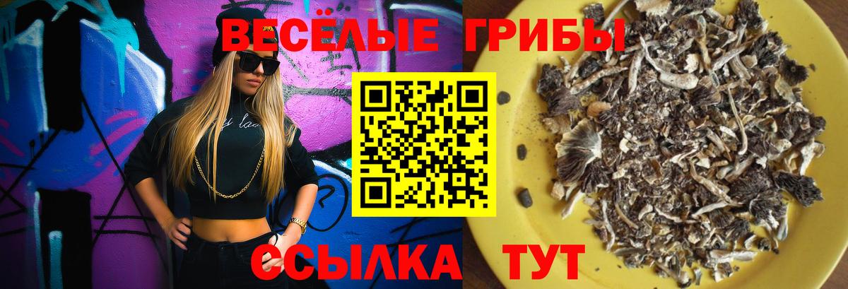 Галлюциногенные грибы ЛСД  Вход с VPN  Коркино 